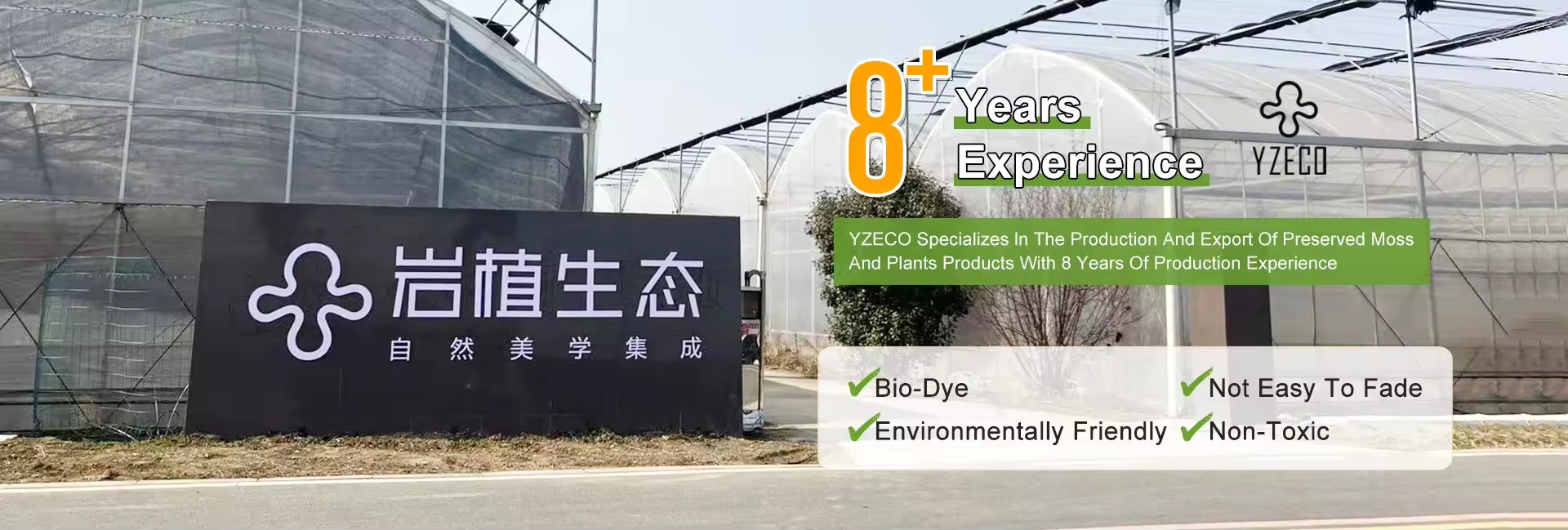 品質 自然 に 保存 さ れ た 茂み 工場